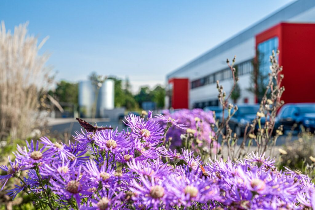 Photographie d'un entrepôt, avec des fleurs et biodiversité au premier plan